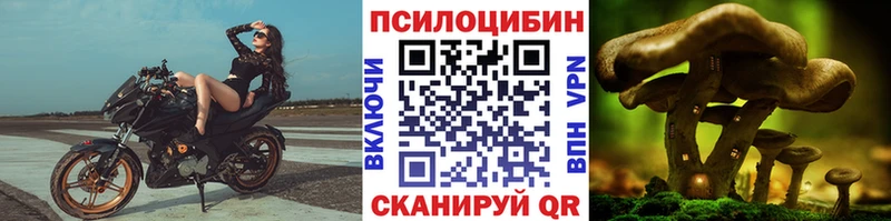нарко площадка формула  hydra ссылка  Новая Усмань  Псилоцибиновые грибы ЛСД 